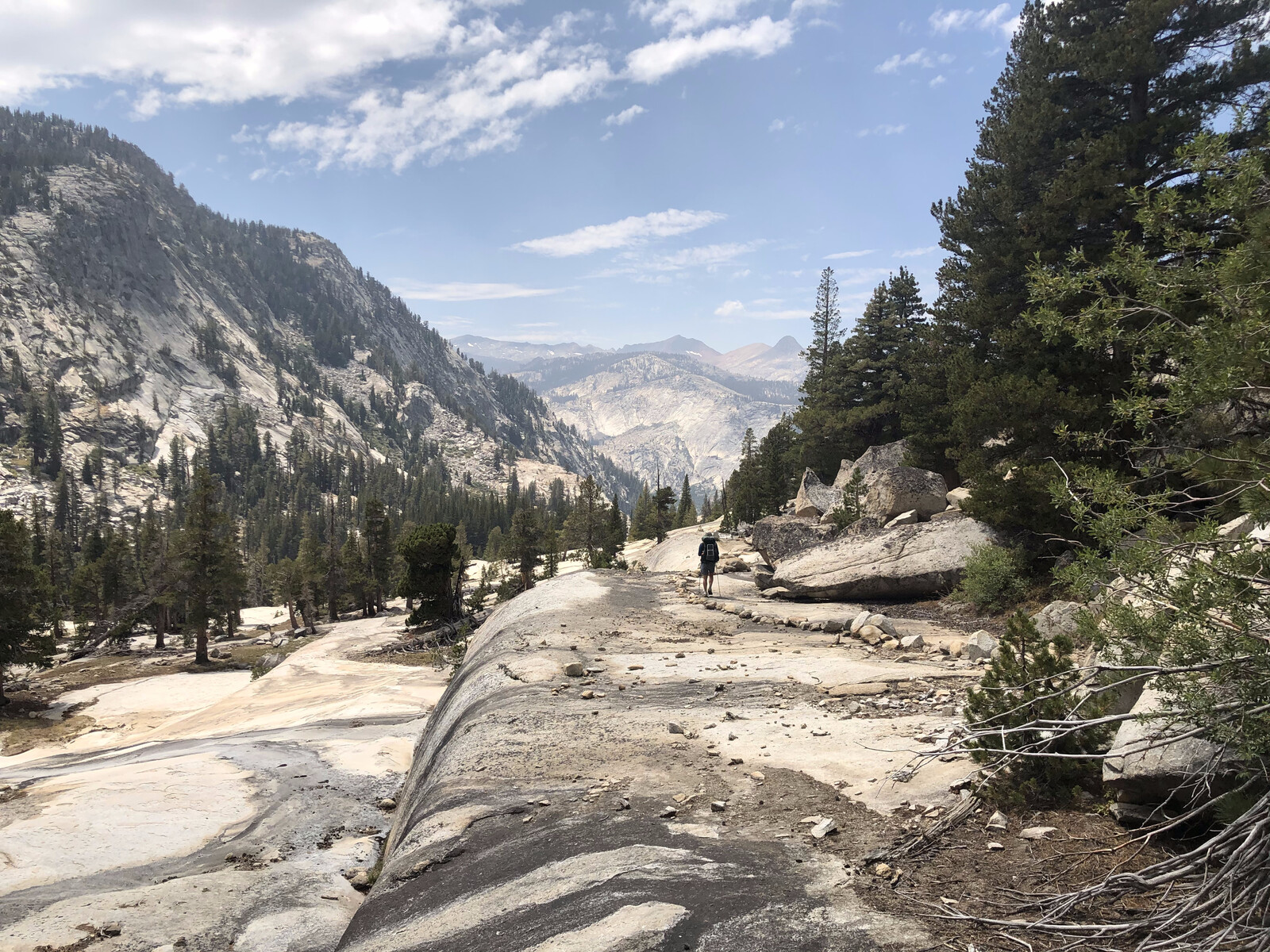Alpine river corridor with scattered trees and rocky banks